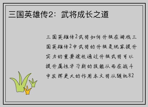 三国英雄传2：武将成长之道